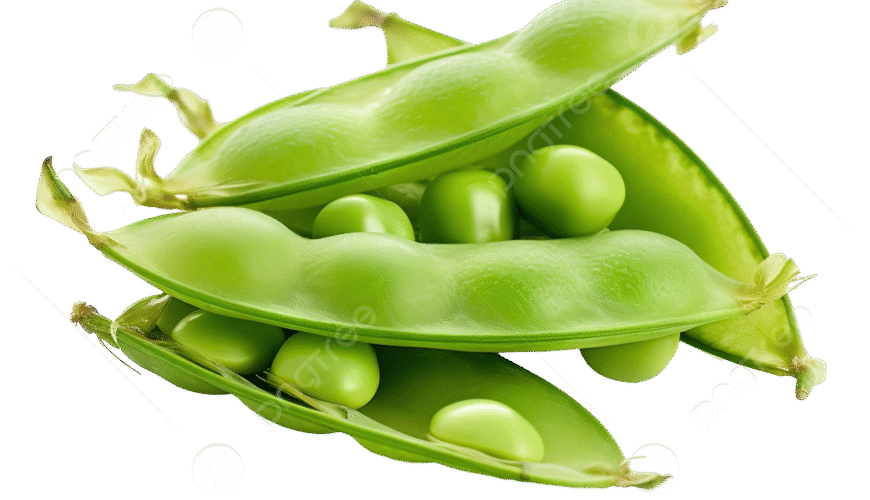Petit Pois Petit Pois