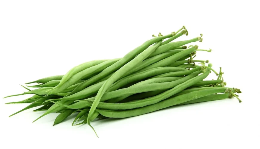 haricot-vert_000 haricot-vert_000